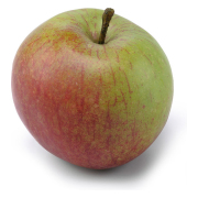 -apple---konstgjord-frukt-1